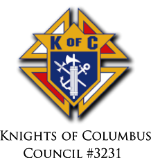 web logo